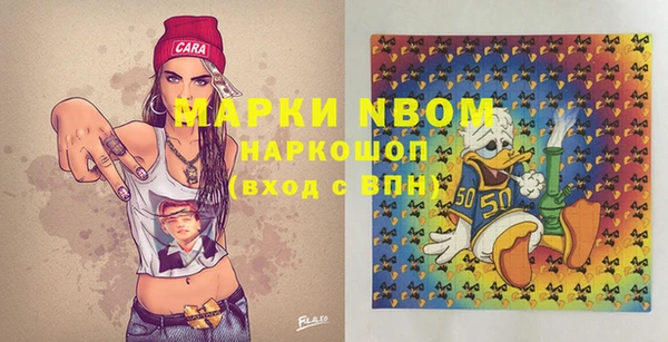 индика Арсеньев