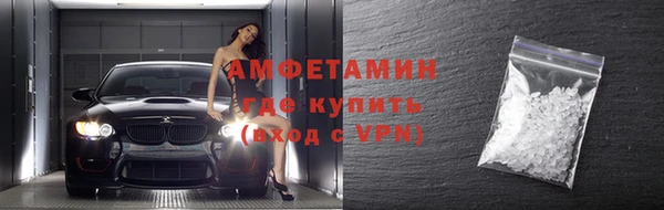 индика Арсеньев
