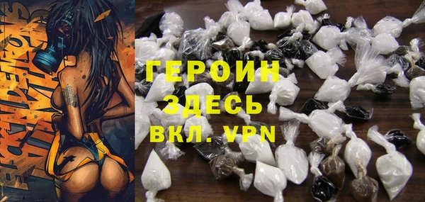 индика Арсеньев