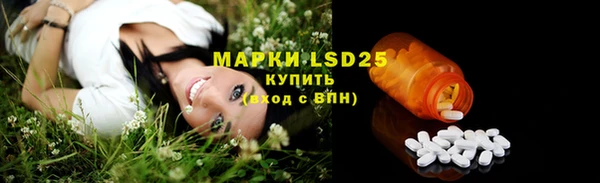 индика Арсеньев