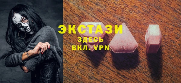 индика Арсеньев