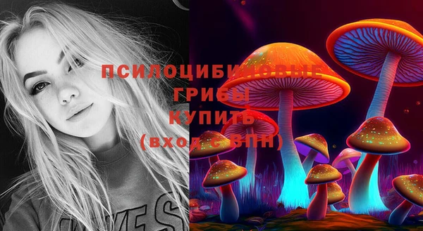 соль ск Сосновый Бор