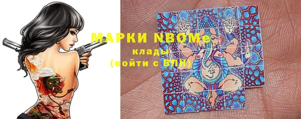 хмурый Сосновка