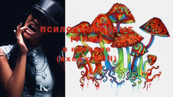 индика Арсеньев