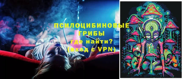 индика Арсеньев