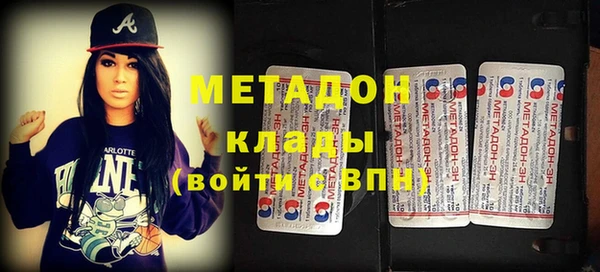 индика Арсеньев