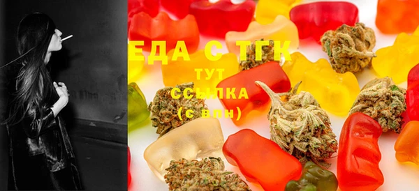 индика Арсеньев