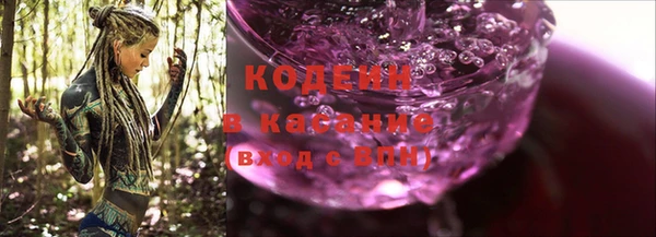 индика Арсеньев
