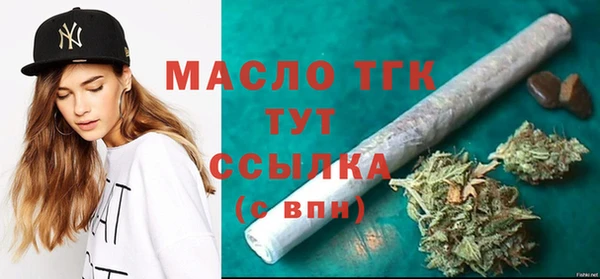 индика Арсеньев